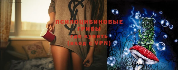 стафф Горно-Алтайск