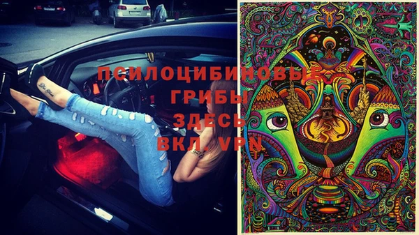 стафф Горно-Алтайск