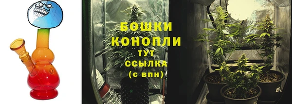 стафф Горно-Алтайск